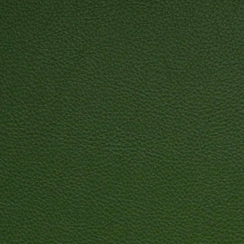 Symphony - Fern
