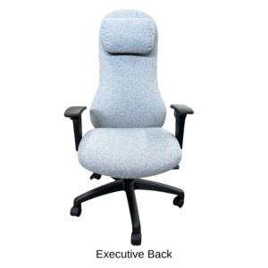 Executive Back Meo